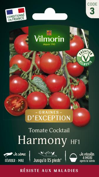 Potagères - Tomate Harmony HF1 - Graines d'Exception - PACKAGING_RECTO
